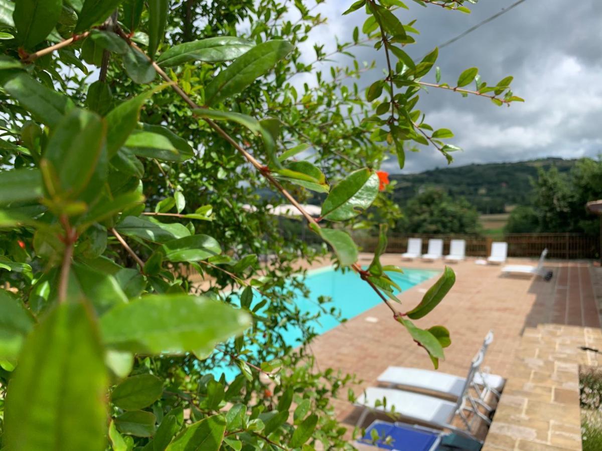 Agriturismo La Palazzetta Di Asís Exterior foto