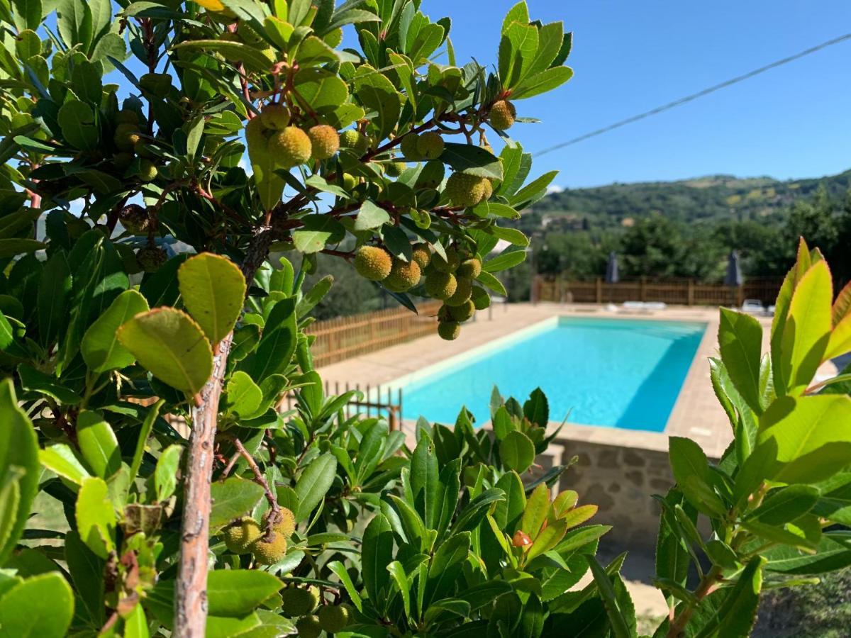 Agriturismo La Palazzetta Di Asís Exterior foto