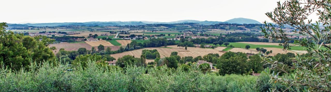 Agriturismo La Palazzetta Di Asís Exterior foto